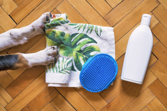 5 Toxic Ingredients to avoid in your pet care products and shampoos