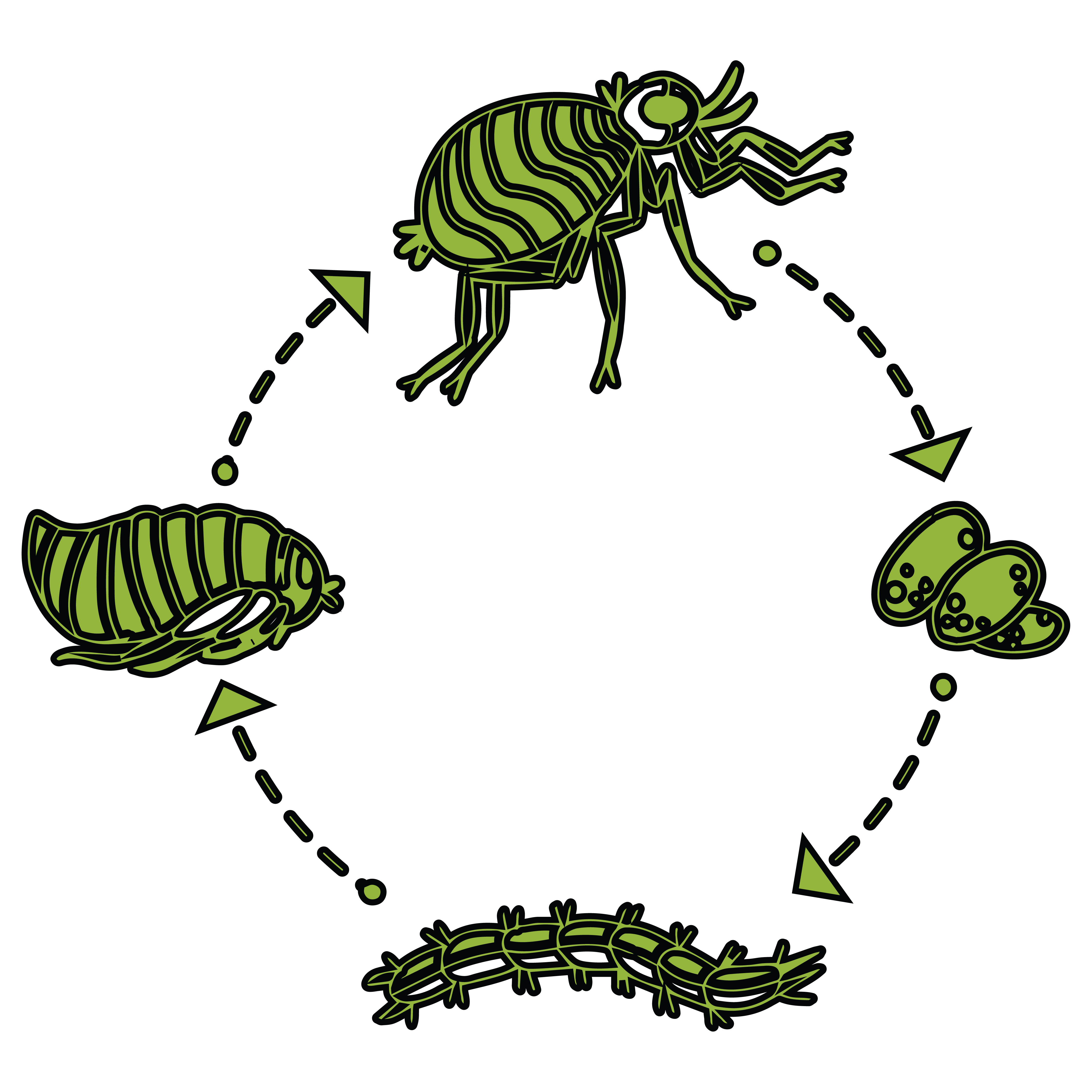 Controls Growth & Infestation