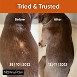 Pet Massage Oil | Pet Skin Protection Oil | Maw & Paw