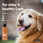 Dog with soft and shiny coat and fur
