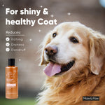 Skin & Coat Protection Ayurvedic Massage Oil-100 ML