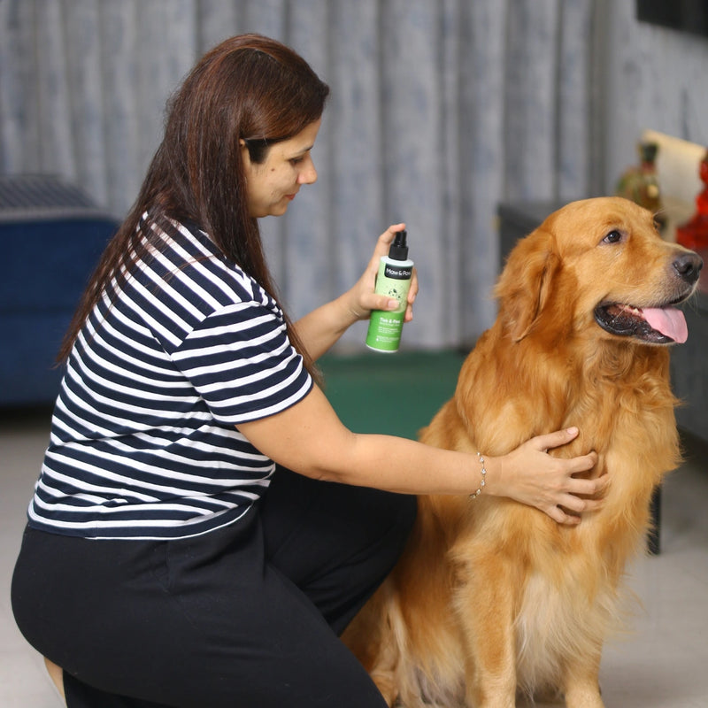 Spray on pet