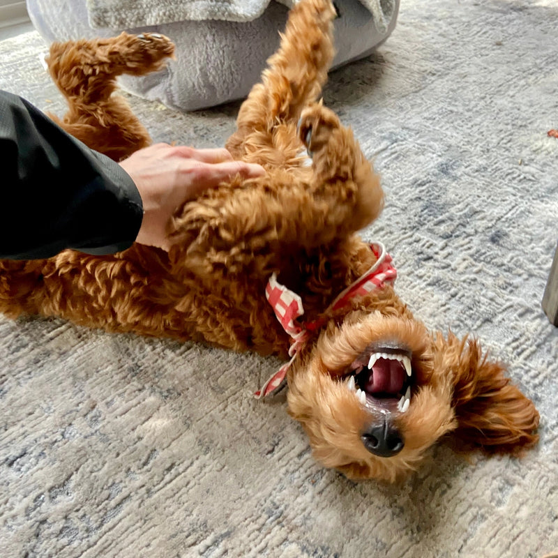 Rub