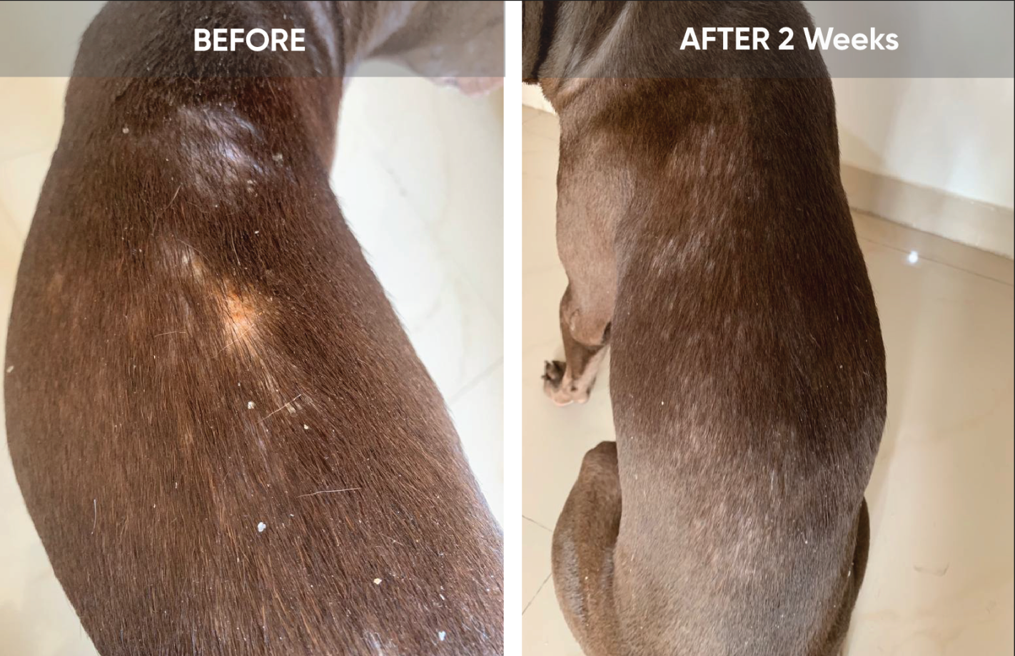 Before and After
