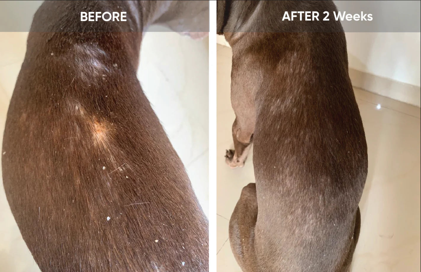 Before and After