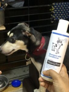 Maw & Paw dog shampoo with conditioner 