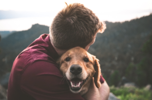 Spend quality time with your dog